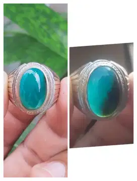 Bacan Coklat Klimis No Treatment