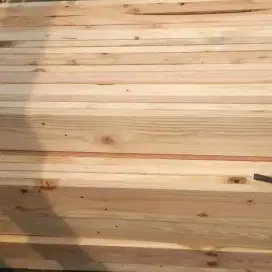 Papan Serut Jati Belanda
