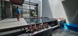 Jasa Kolam Ikan | shafa taman