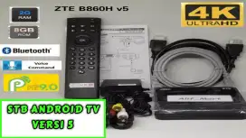 Set Top Box Android TV ZTE B860H Versi 5 Google Voice