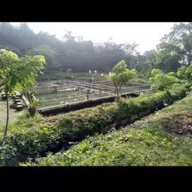 DIJUAL Tanah Darat Luas keseluruhan 1818 M2