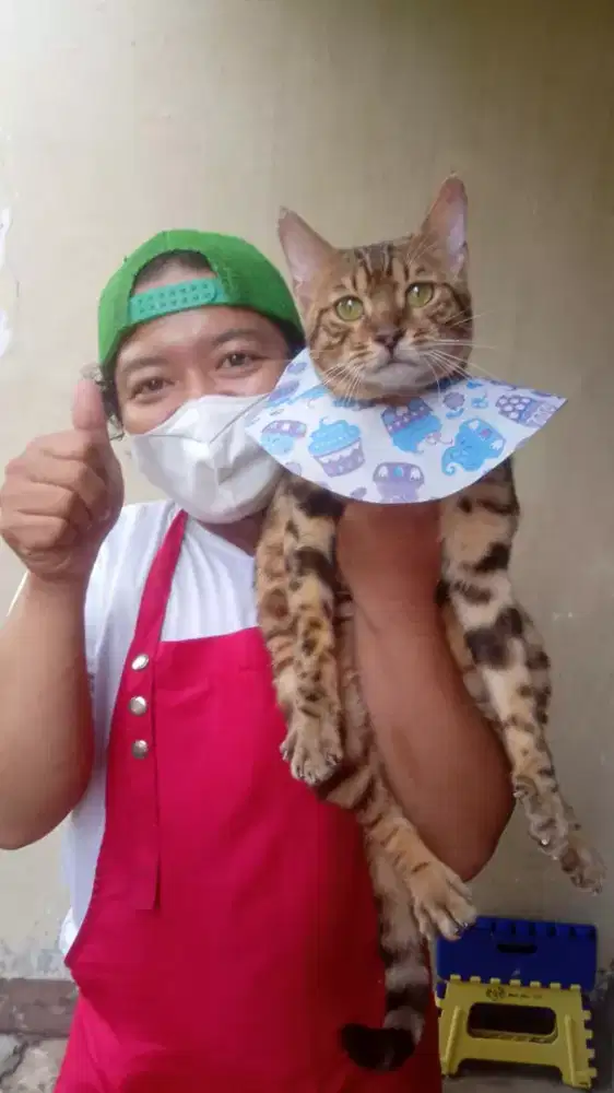 Penitipan dan perawatan