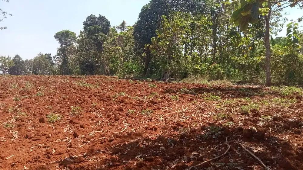 Dijuat tanah kawasan industri luas;100.850m lokasi jepara