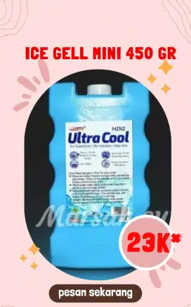 Ice pack Mini 375ml