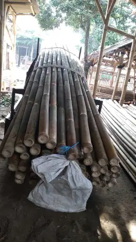 Bambu steger tiang cor