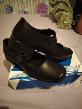 Sepatu pantofel