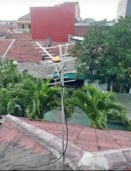 Antena kinyis kinyis
