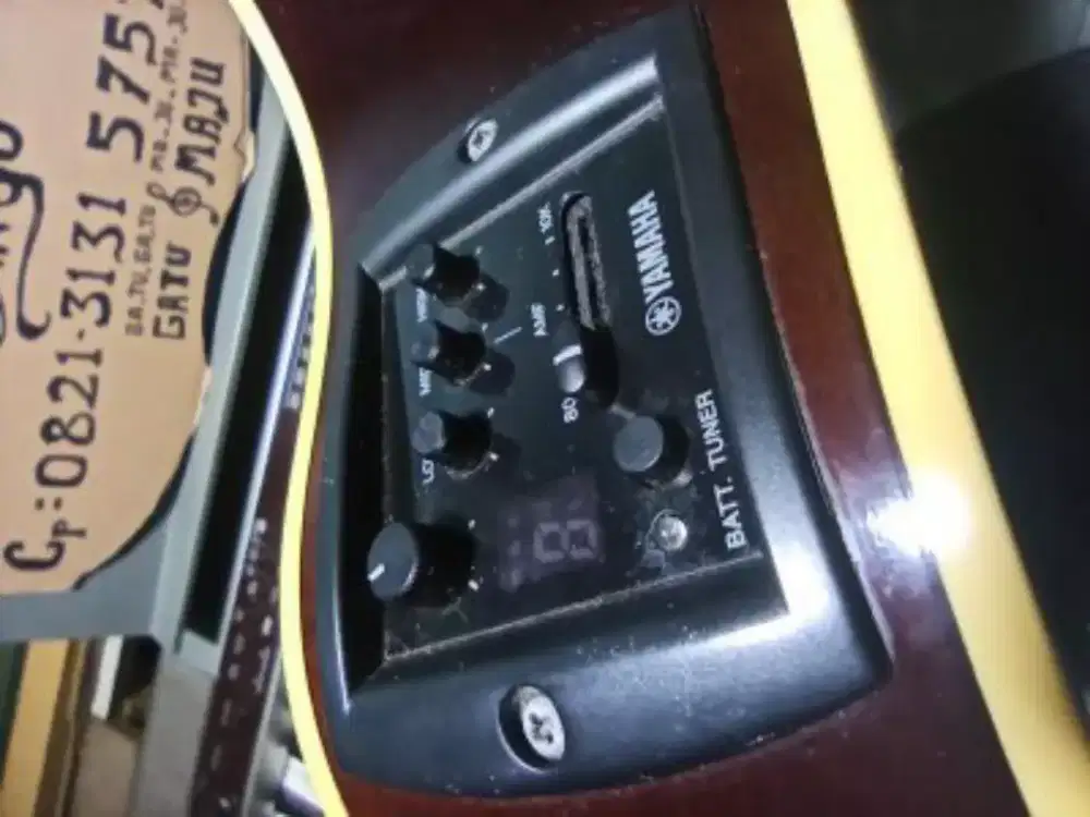 beli gitar fender