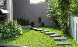 TUKANG TAMAN || JASA PEMBUATAN DAN PERAWATAN TAMAN