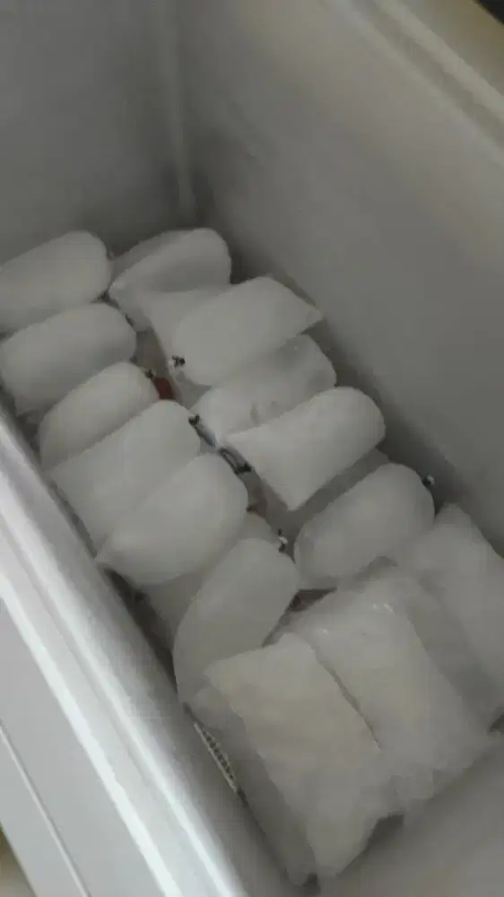 es batu TERLARISSSS !!