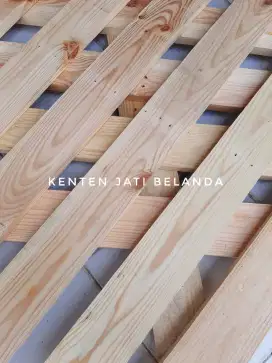 KAYU JATI BELANDA