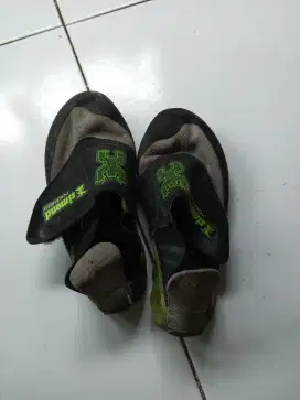 Sepatu Panjat tebing