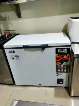 Freezer Gea AB 226R