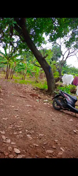 Bismillah di jual tanah datar perkampungan