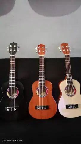 Gitar Ukulele Biasa