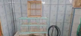 Dongdang merpati 6 pintu dan 2 pintu