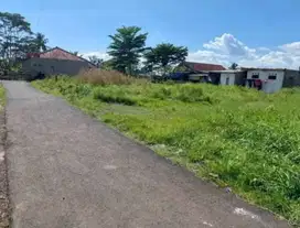 Dijual Tanah Murah dan Strategis di Cianjur