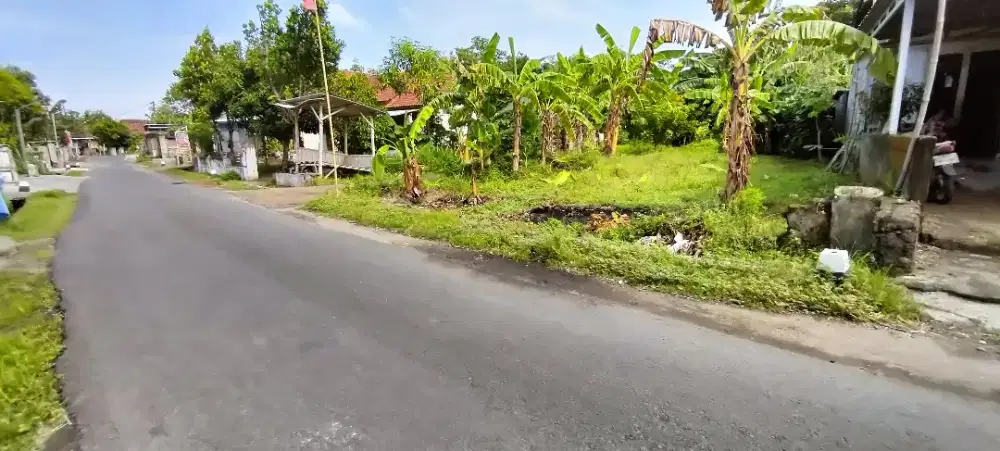 Tanah pekarangan di Kabupaten Kediri cocok untuk usaha atau perumahan