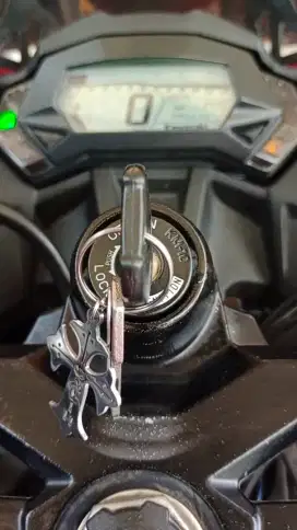 ninja 250 sl mono abs 2014