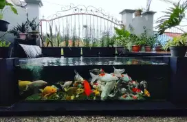 Kolam ikan koi dan taman