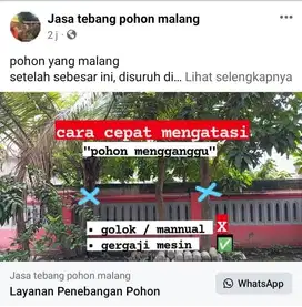 tebang pohon area malang