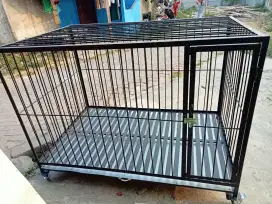 Kandang anjing besi custom 007