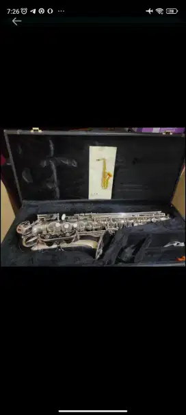 Alat Musik Tiup Lark M4019-N