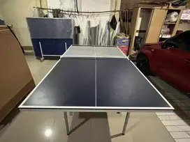 Tenis Meja (Meja Pingpong)