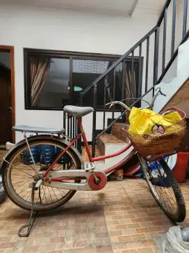 Sepeda dewasa tanpa brand