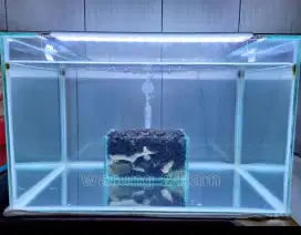 Akuarium ikan komplit dengan saringan under gravel