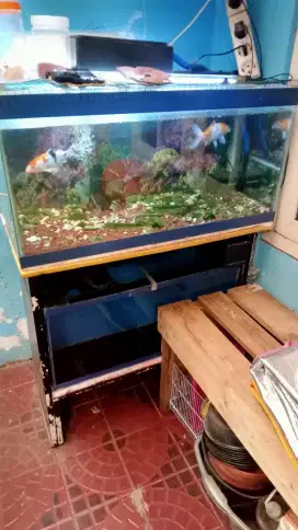 Aquarium 2 unit