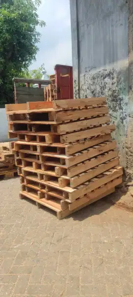 Palet kayu baru