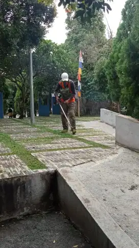 Jasa potong rumput taman rumah dan kapling ,dan pembuatan taman rumah
