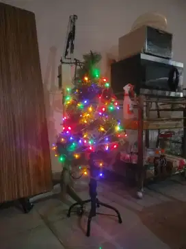 Pohon natal fullset