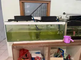 Aquarium 1.2 meter