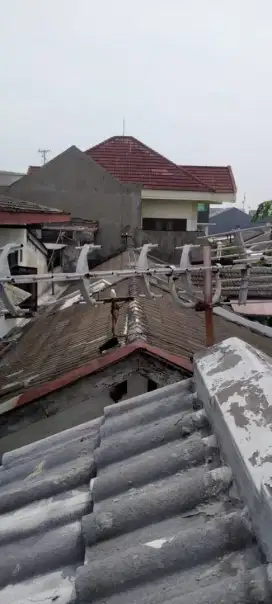 Antena digital murah