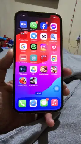 Iphone 12 Pro 256GB fulset all operator (tt oke)