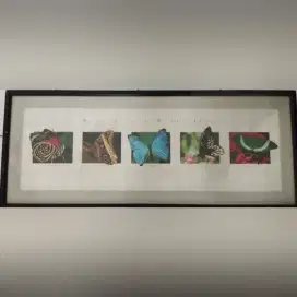 Hiasan dinding gambar Kupu Kupu