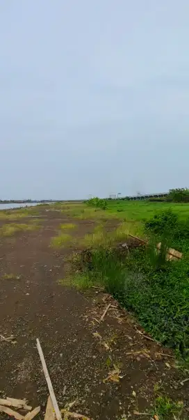 DI JUAL TANAH INDUSTRI STRATEGIS DI ONGGORAWE - SAYUNG DEMAK