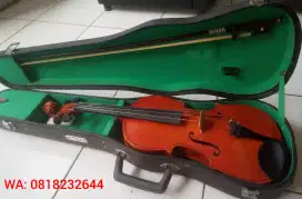 Jual Biola skylark untuk anak/remaja