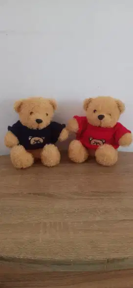Boneka Tedy Bear couple