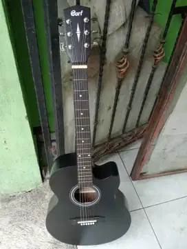 Gitar akustik cort tanbes baru