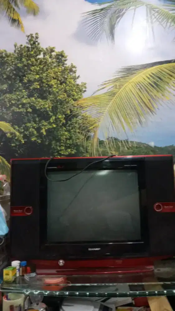 Tv merk sharp 21inch  kondisi mati