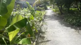 Tanah Pusat Kota, Jl. MT Haryono
