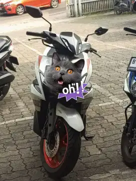 DiJual motor Aerox ABS second