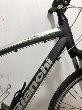 bianchi cameleonte