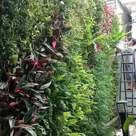 Taman Vertical Garden