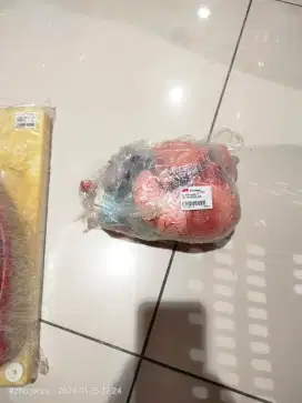 Alat peraga jantung