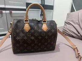 Tas LV Louis Vuitton bandou 25