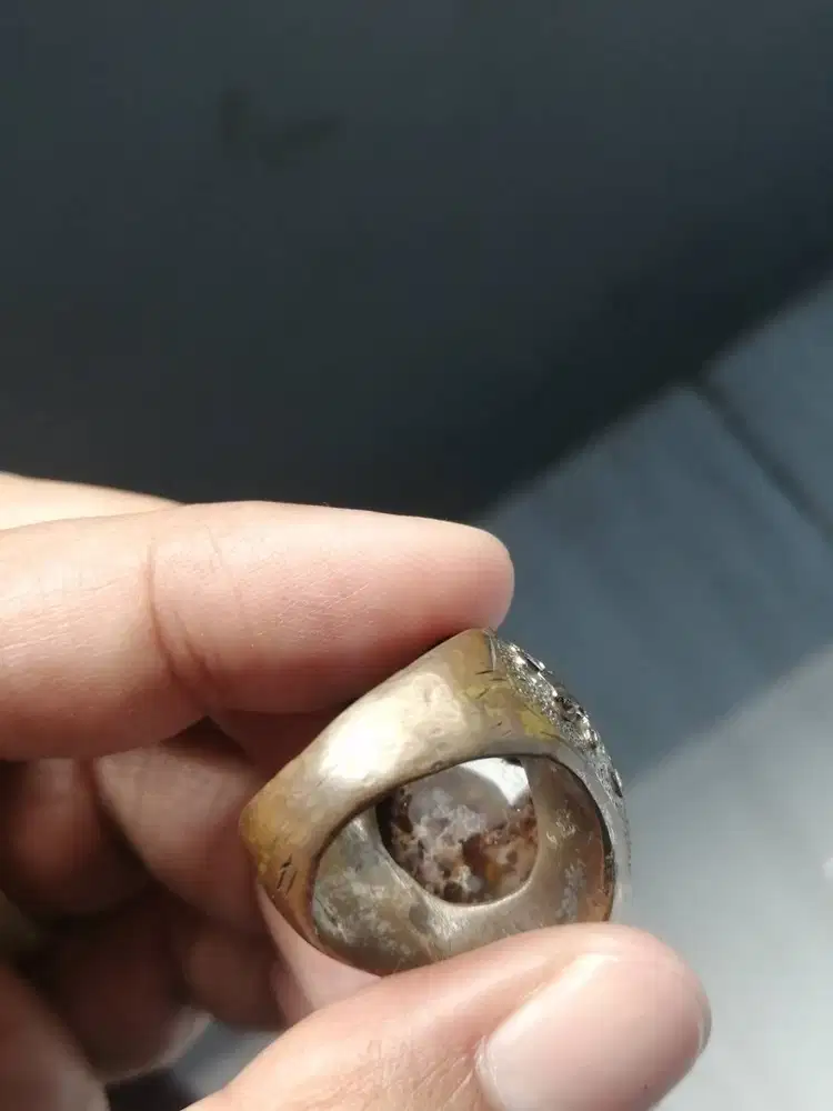 Kecubung karang